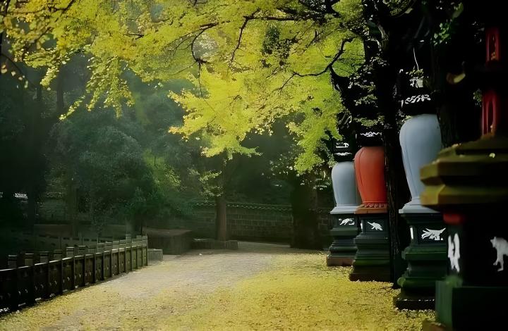 360图片编辑 (19)_副本.jpg